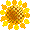 SUN_F_ANIME02